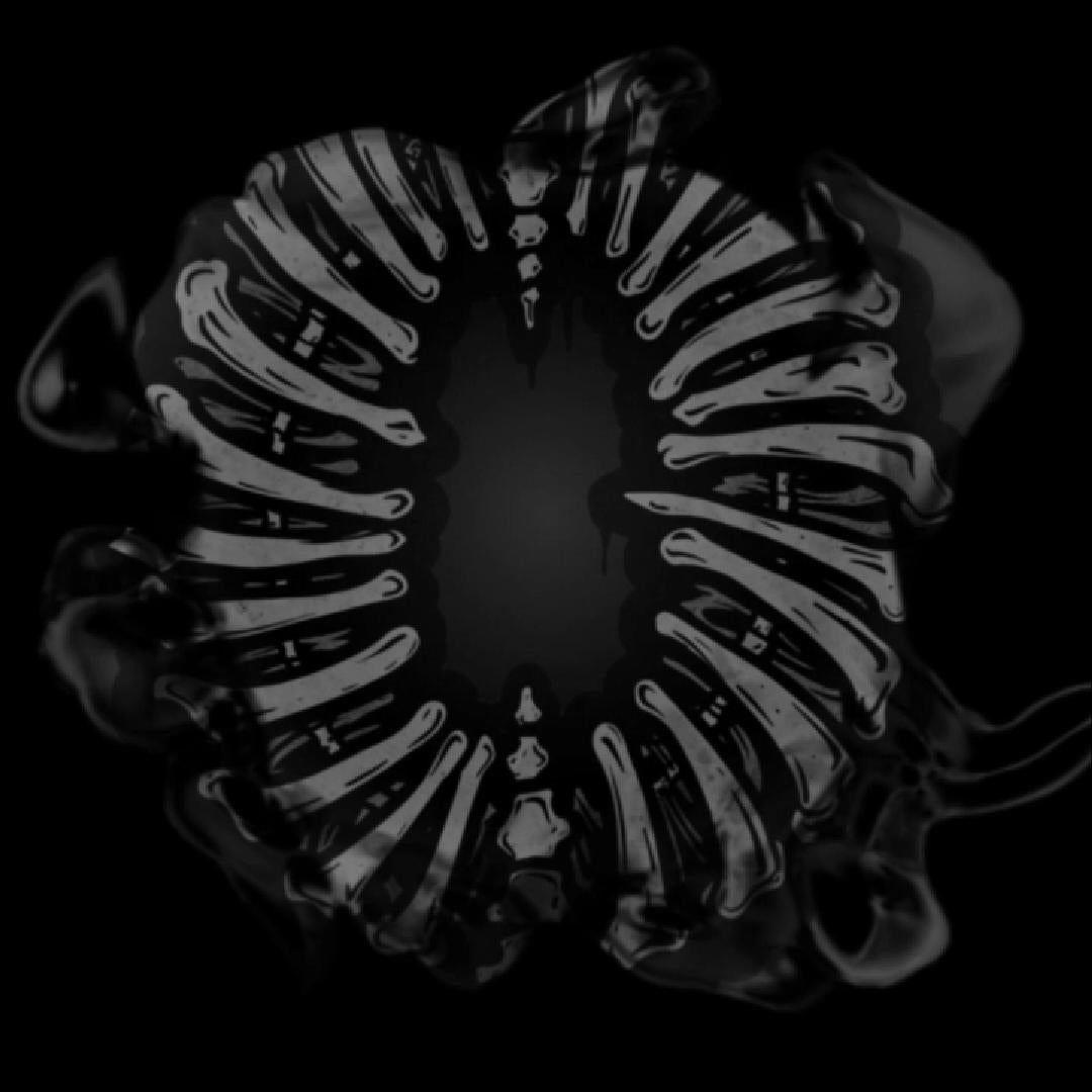 Charger la vidéo : 